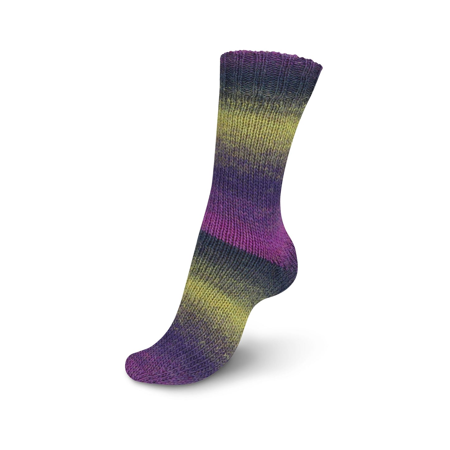 REGIA:レギア ヴィルトゥオーソ カラー 6本撚り