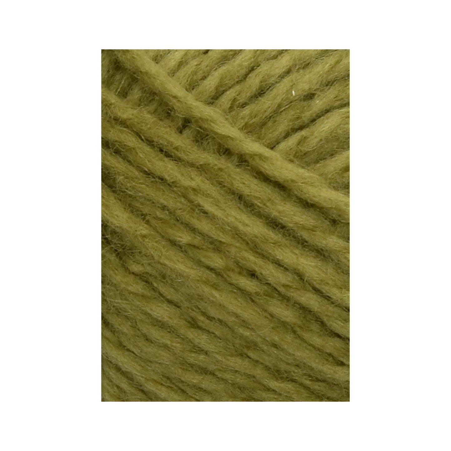 Sandnes Garn:サンネスガルン フリティッドガルン