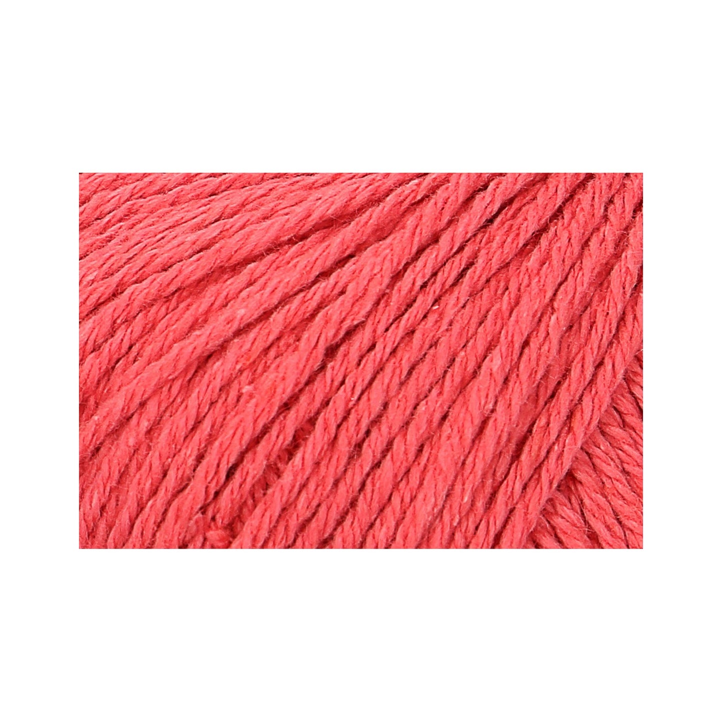 Rowan:ローワン コットン カシミア