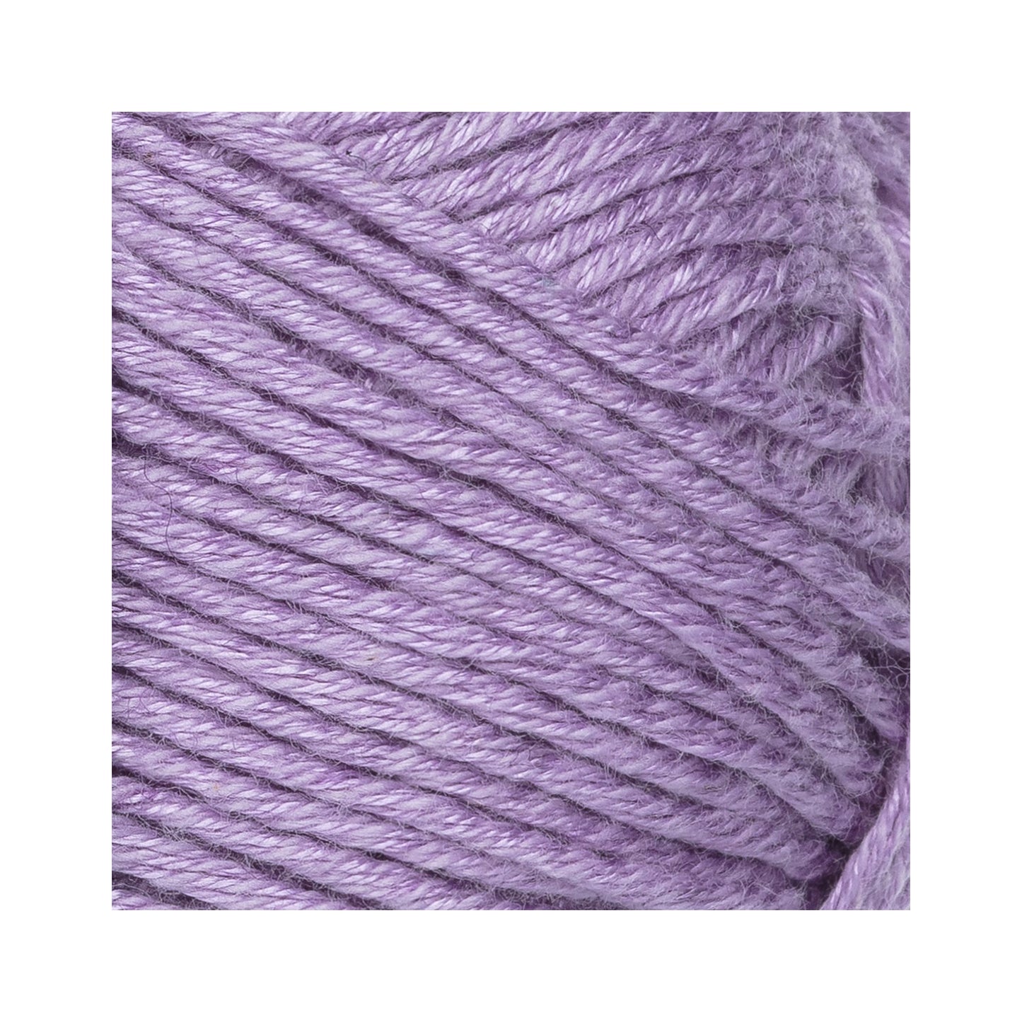 NOVITA:ノヴィータ ソインツ