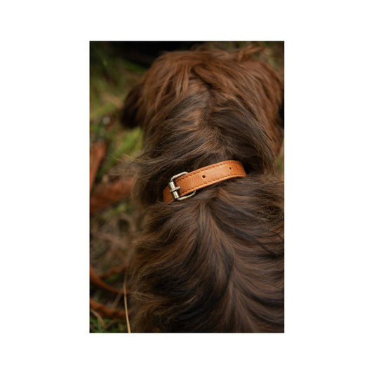 muud:ムー ケイト カラー