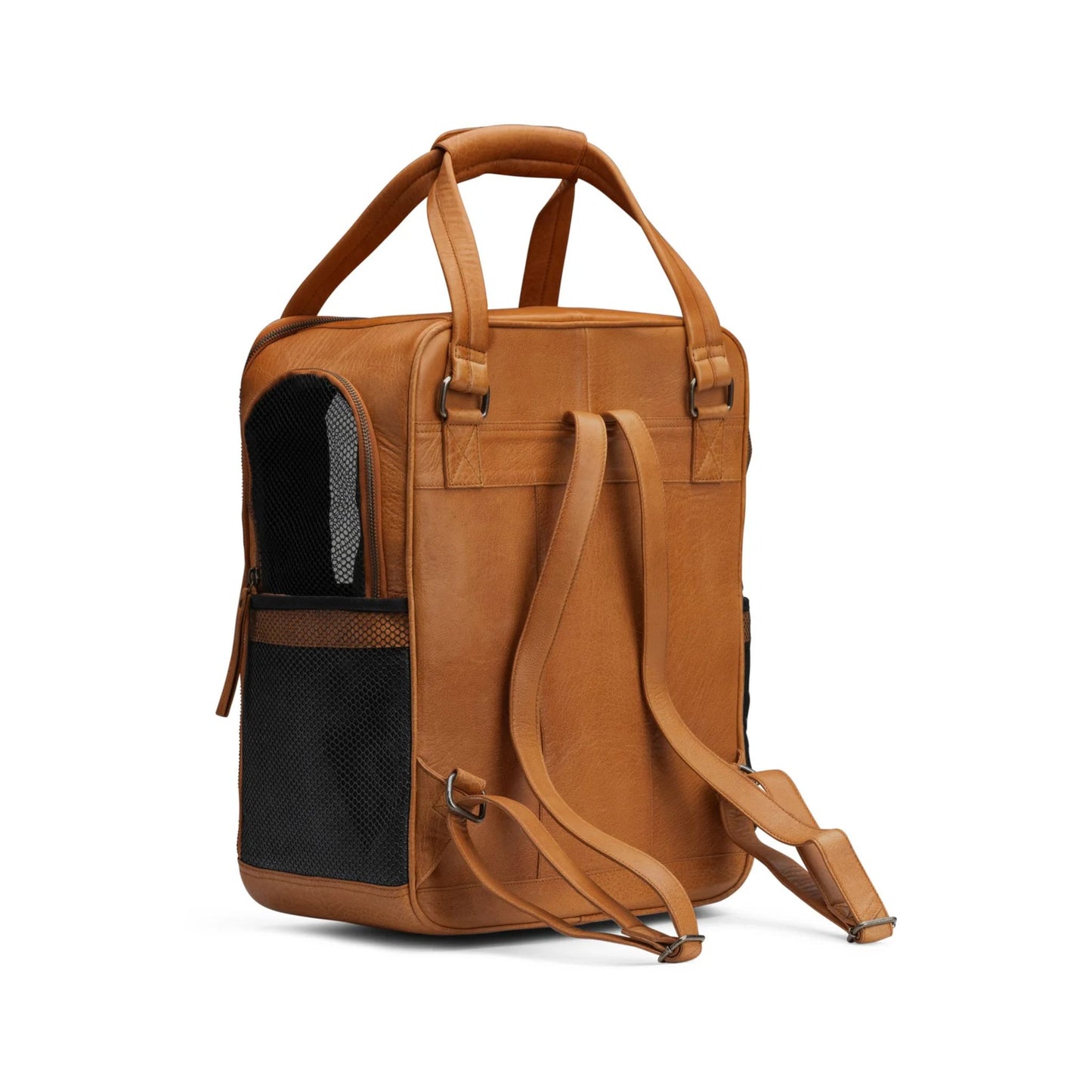 muud:ムー セシリー