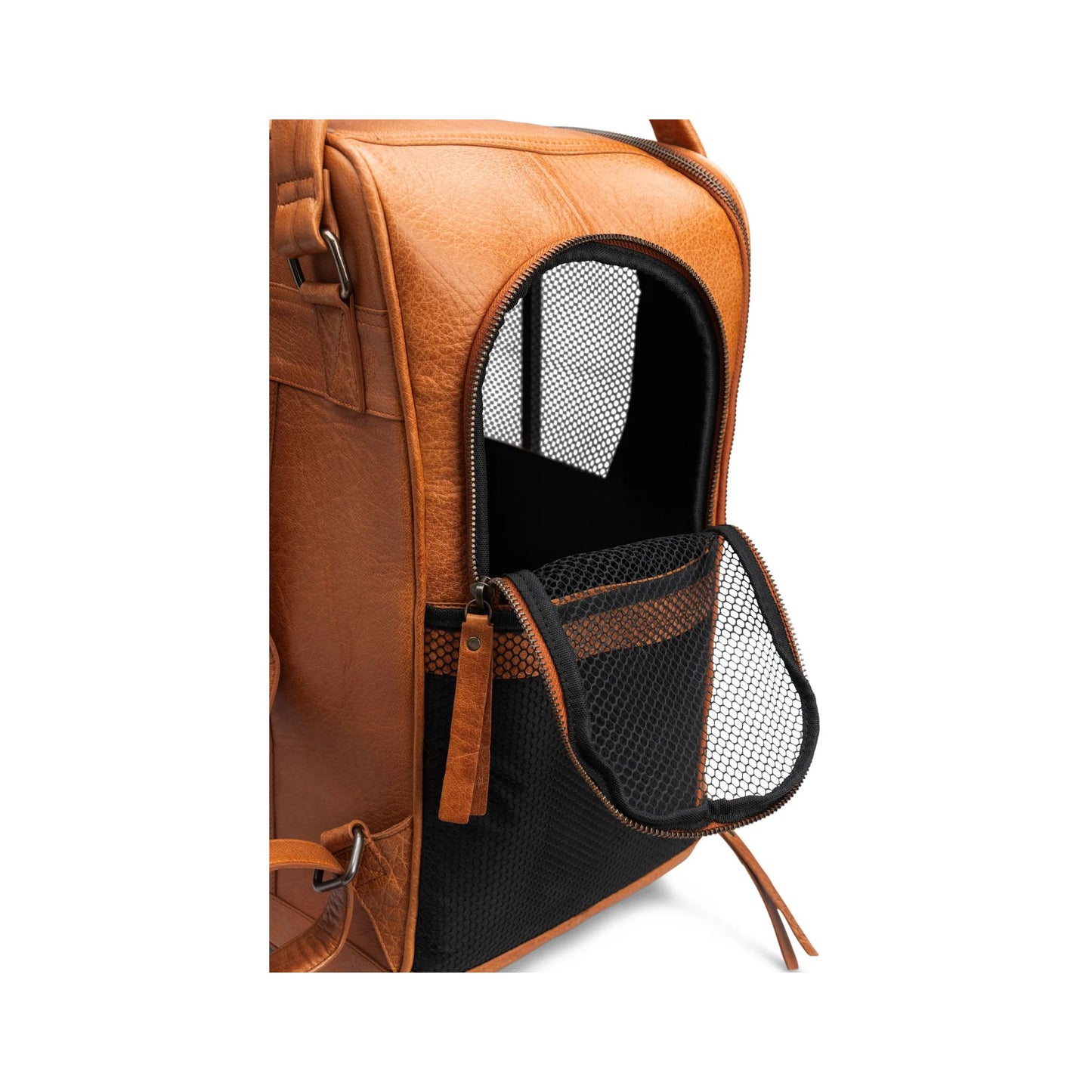 muud:ムー セシリー