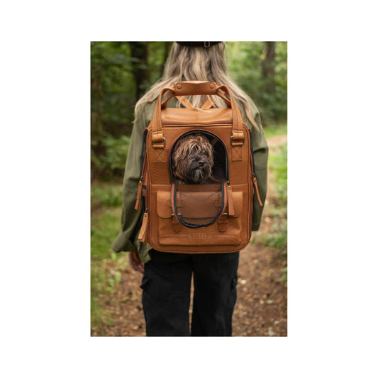 muud:ムー セシリー