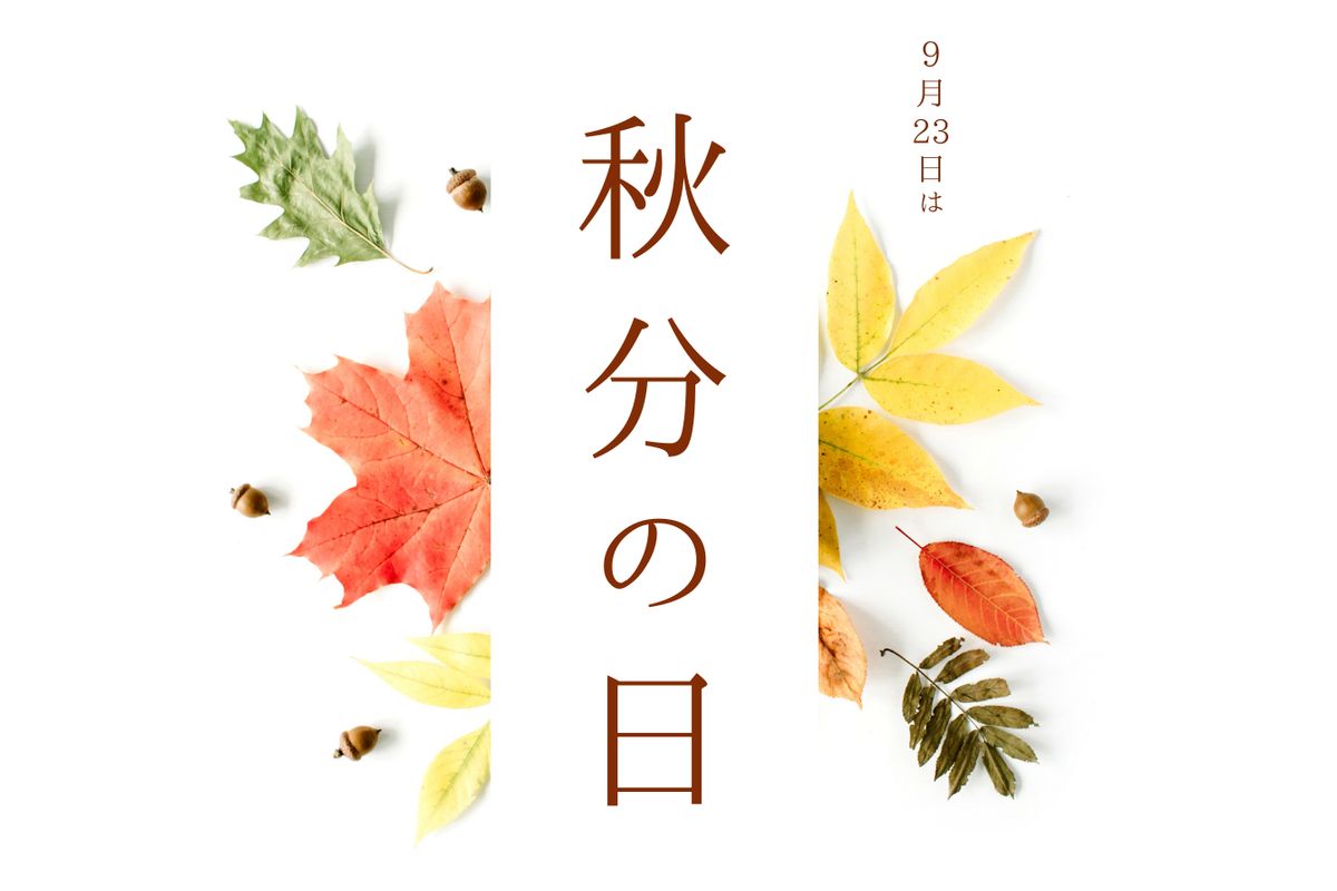 秋分の日に届く未来のレビューとは？『レラーナ フロッテゾッケ ブラーノ』で編み物の楽しみを先取り！