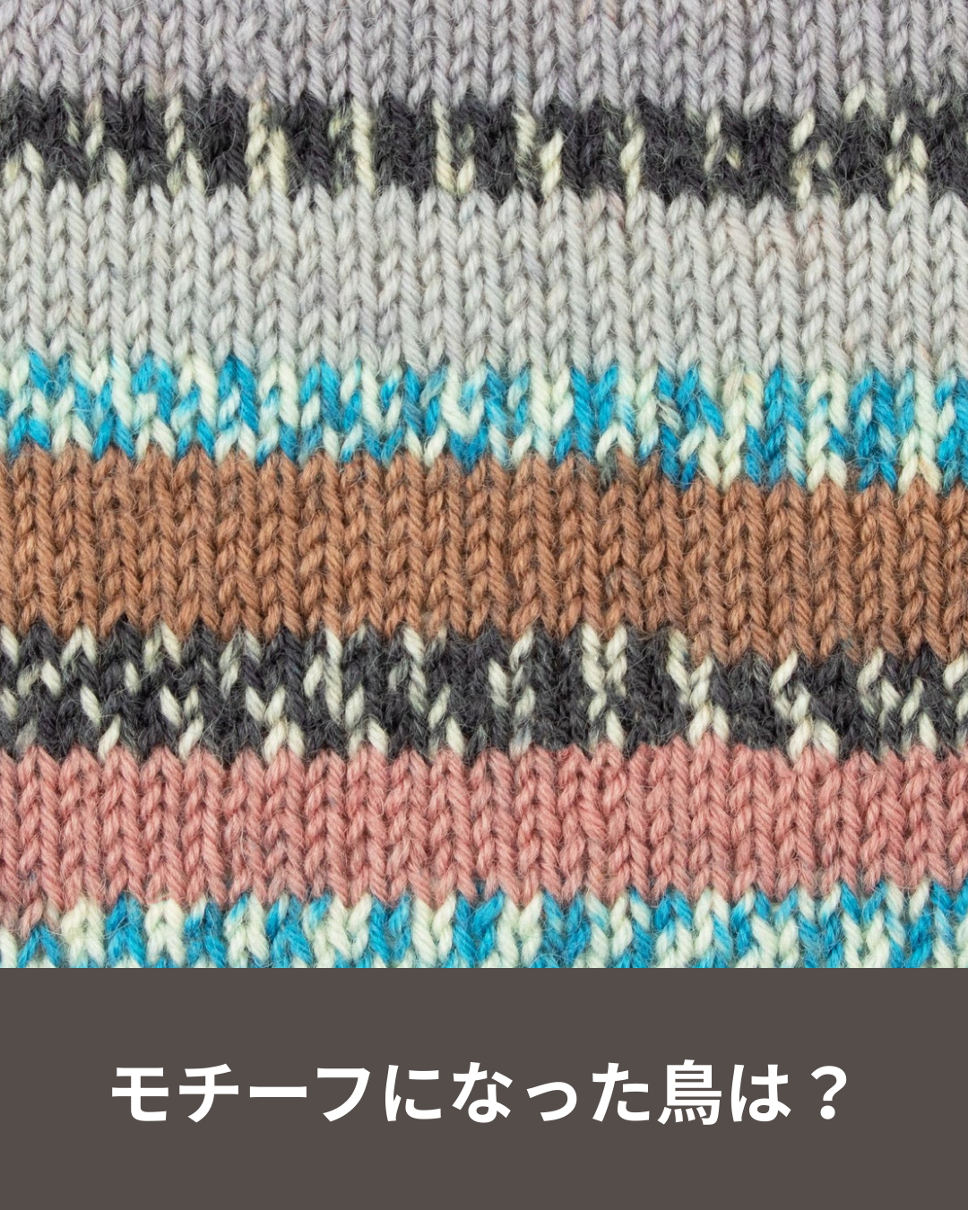 鳥の羽が毛糸になる カケスから生まれた英国ソックヤーンの話