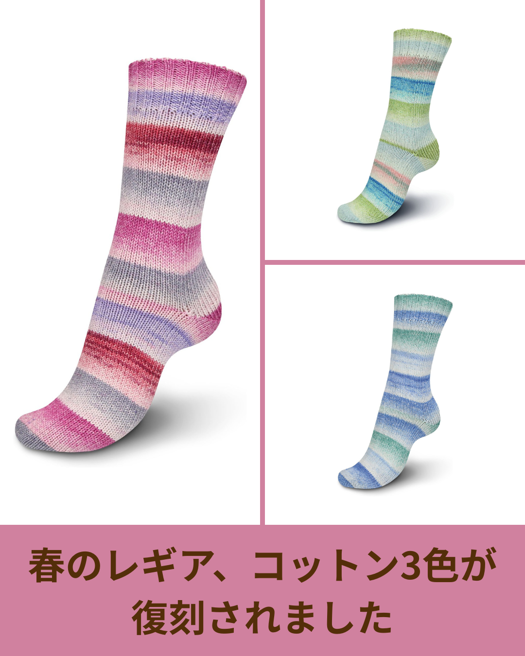 レギアは終わっていない。いまも続いているソックヤーンの現在