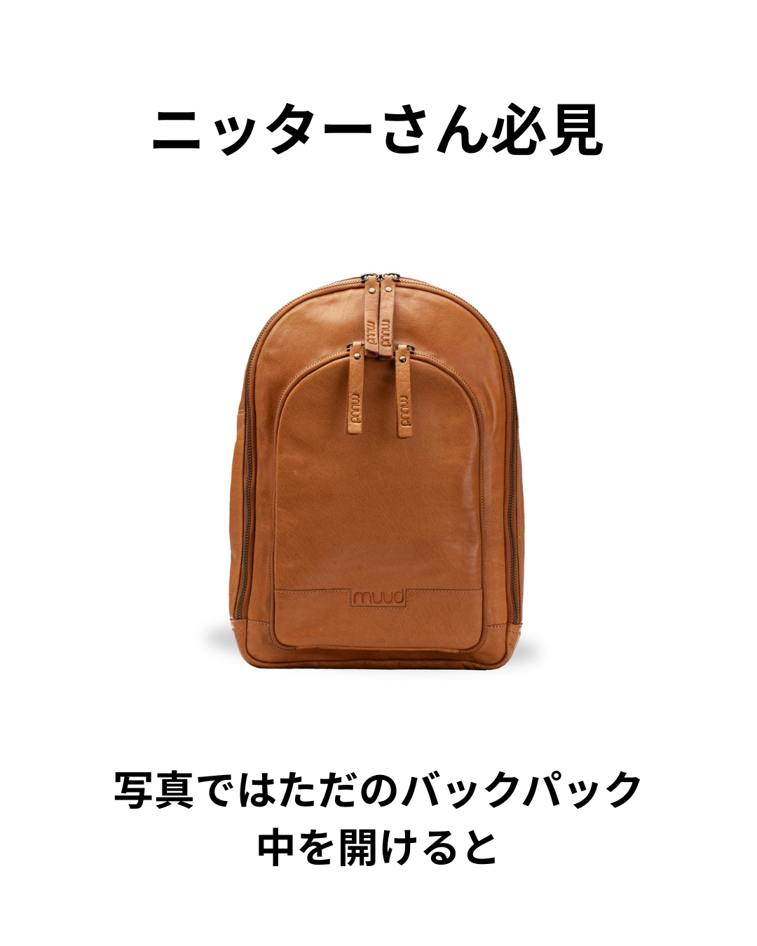写真ではただのバックパック