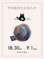 ショッペル毛糸 3日間限定の予約販売が始まります