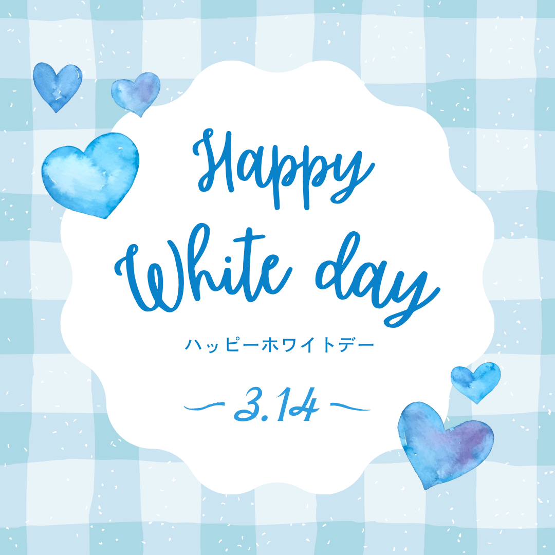 レギアの春夏向けコットンソックヤーンを特別価格でご案内