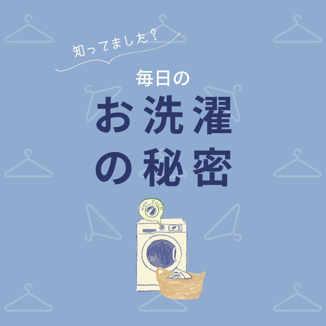 毎日の暮らしの中に、気づかない小さな秘密