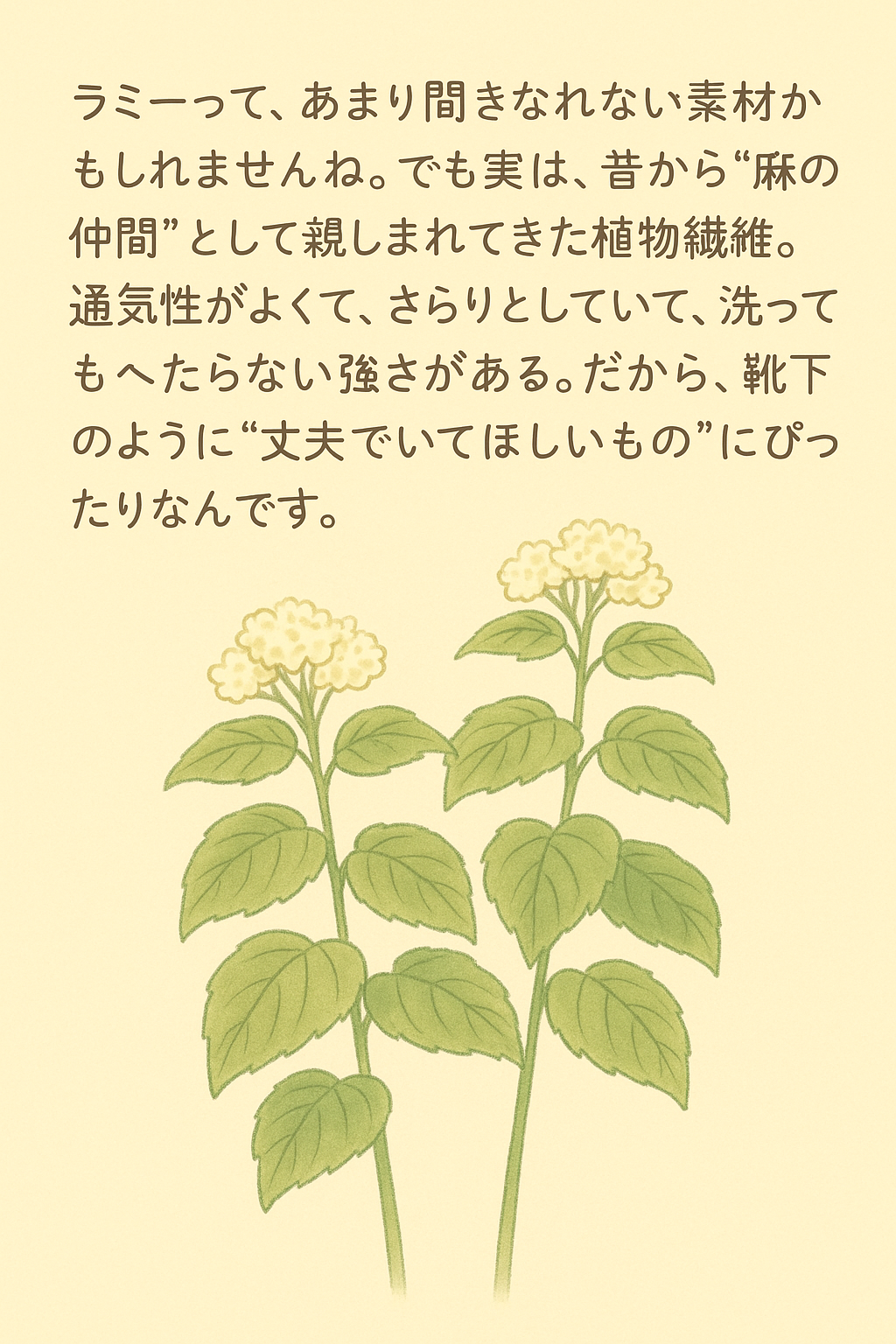 ナイロン不使用で丈夫に仕上がるソックヤーン、ネッセルの魅力