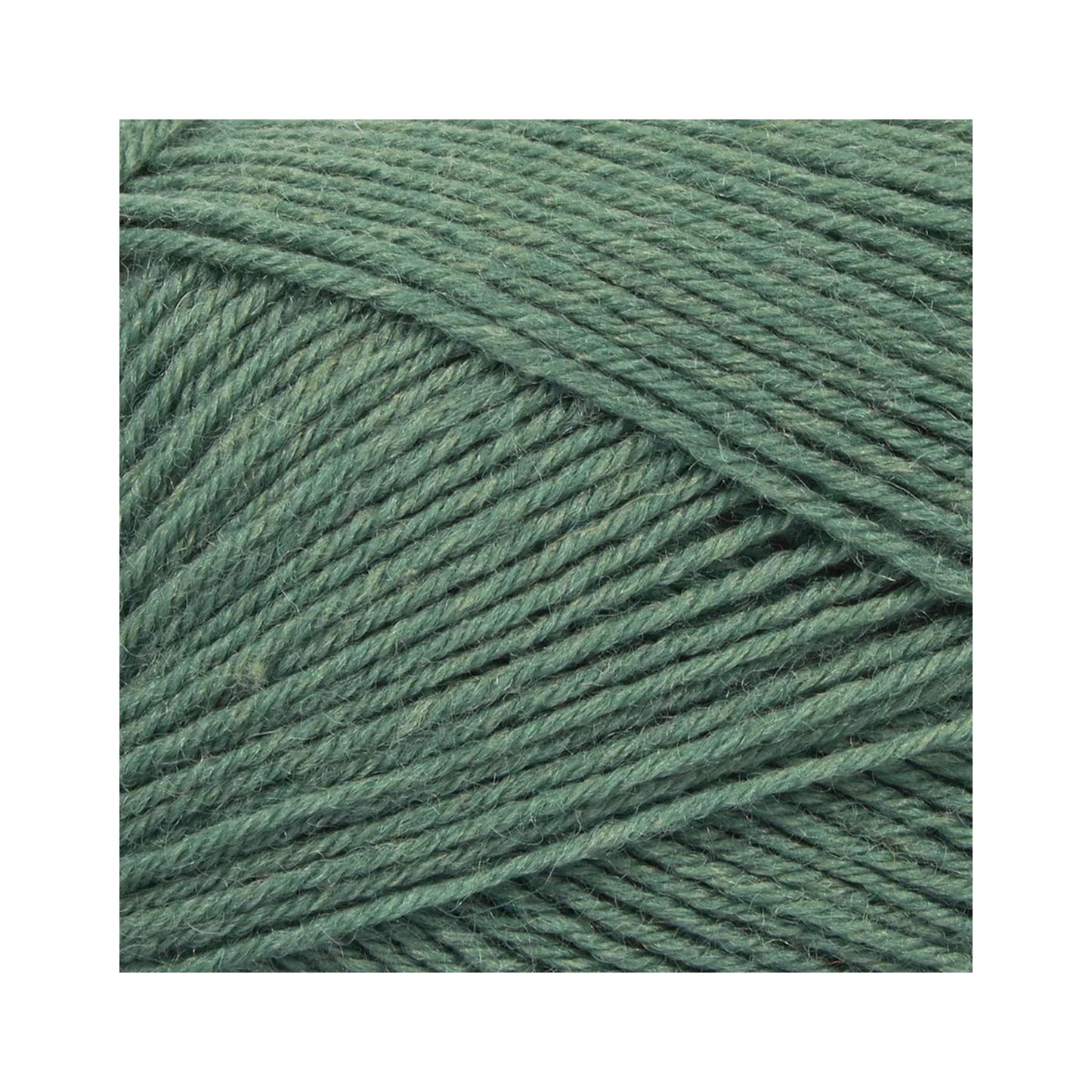 至高のソックヤーン｜ファーストクラス 50g｜Mayflower：メイフラワー