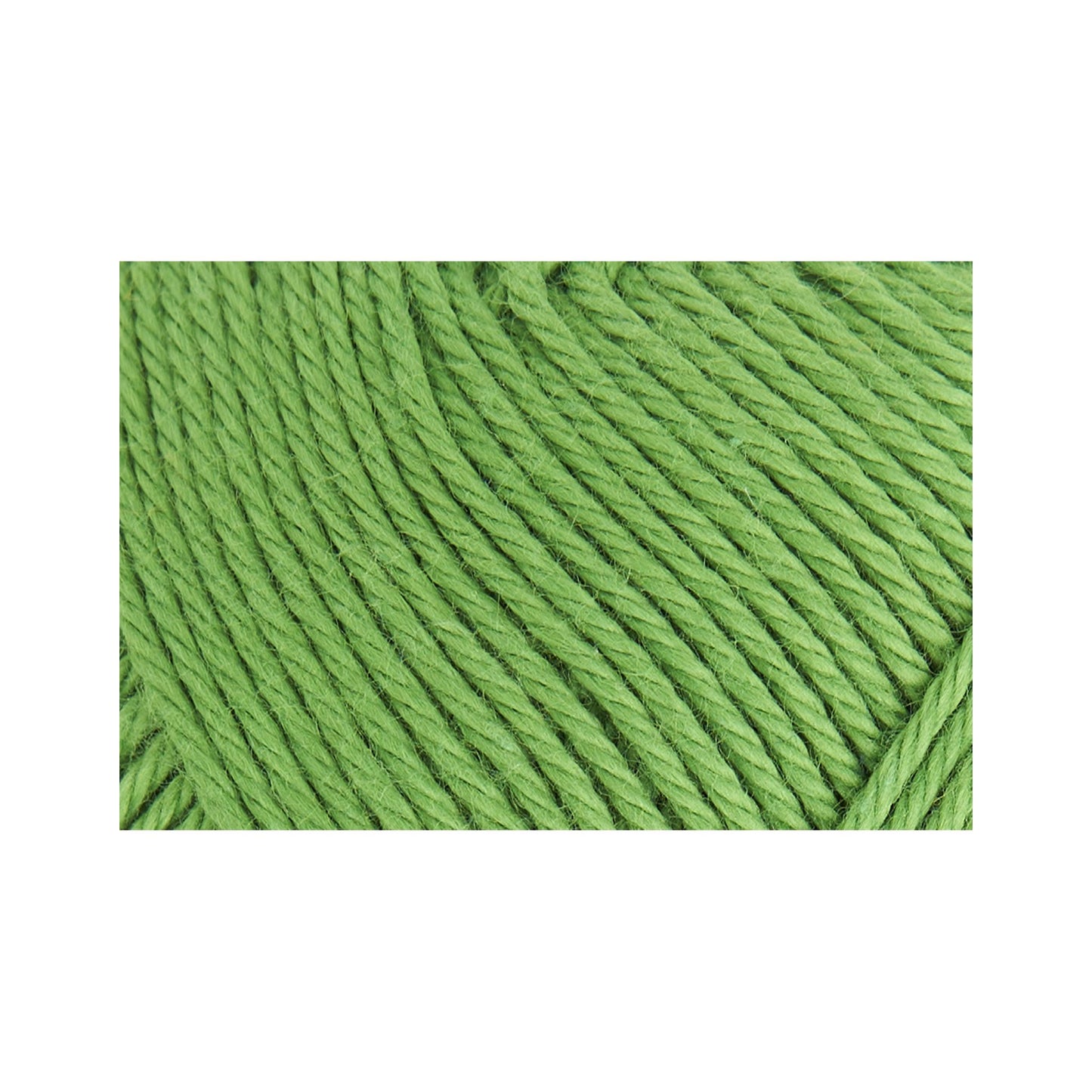 さらりと上品に編める夏の定番コットン｜サマーライト 4ply｜Rowan：ローワン