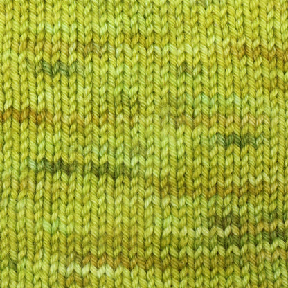 彩りとやさしさが息づくソックヤーン｜手染め テラ カラー｜Symfonie Yarns：シンフォニーヤーンズ