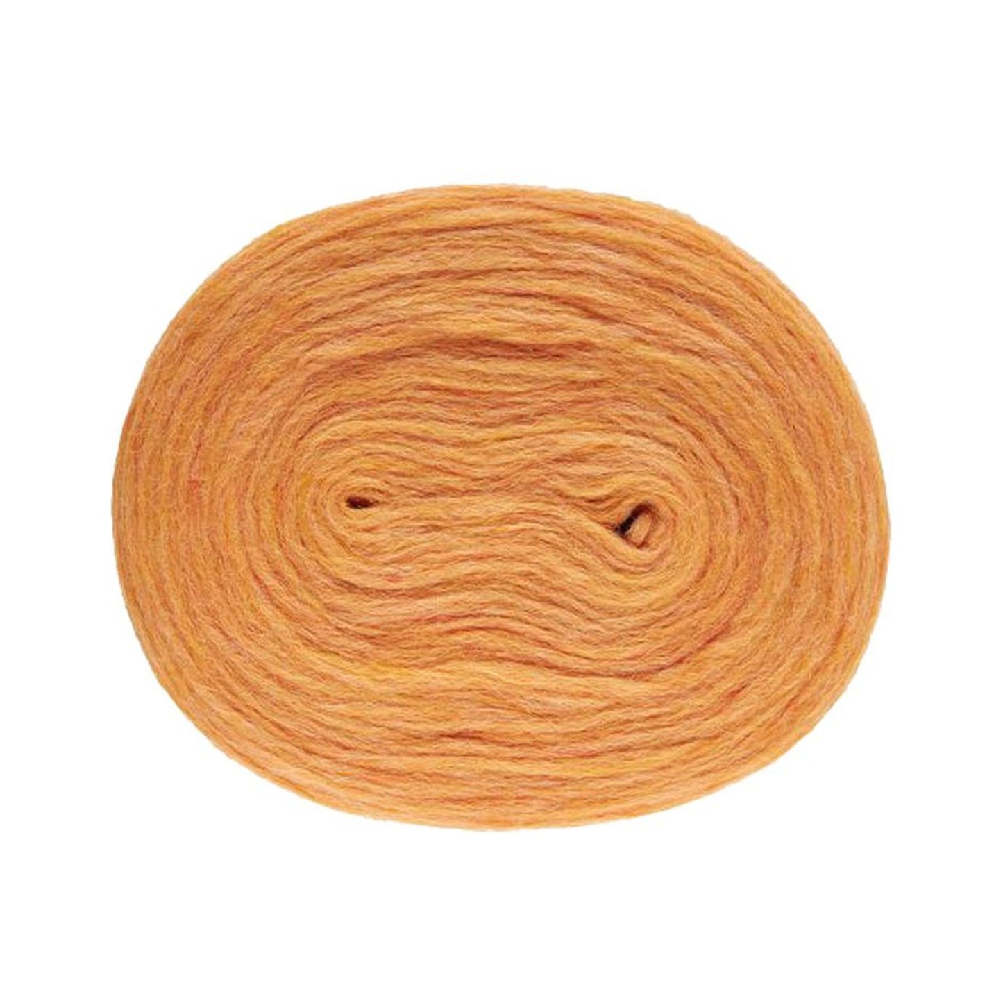 アイスランドの伝統が息づく原毛｜Plötulopi：プロトゥロピ｜Lopi：ロピ