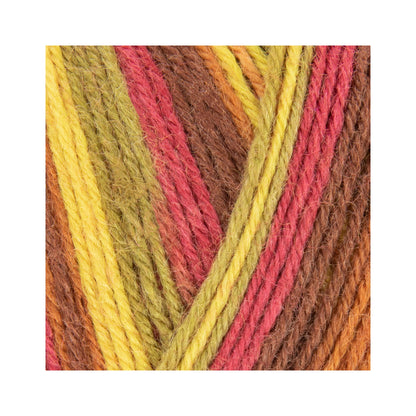 日常の色彩を編む大人の4plyソックヤーン｜シグネチャー 4ply ウィンウィック・マム｜West Yorkshire Spinners：ウエストヨークシャースピナーズ