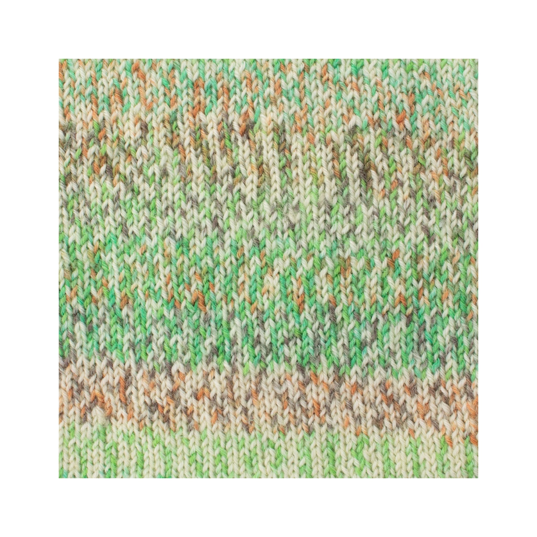 英国の蝶を編む｜シグネチャー 4ply バタフライ｜West Yorkshire