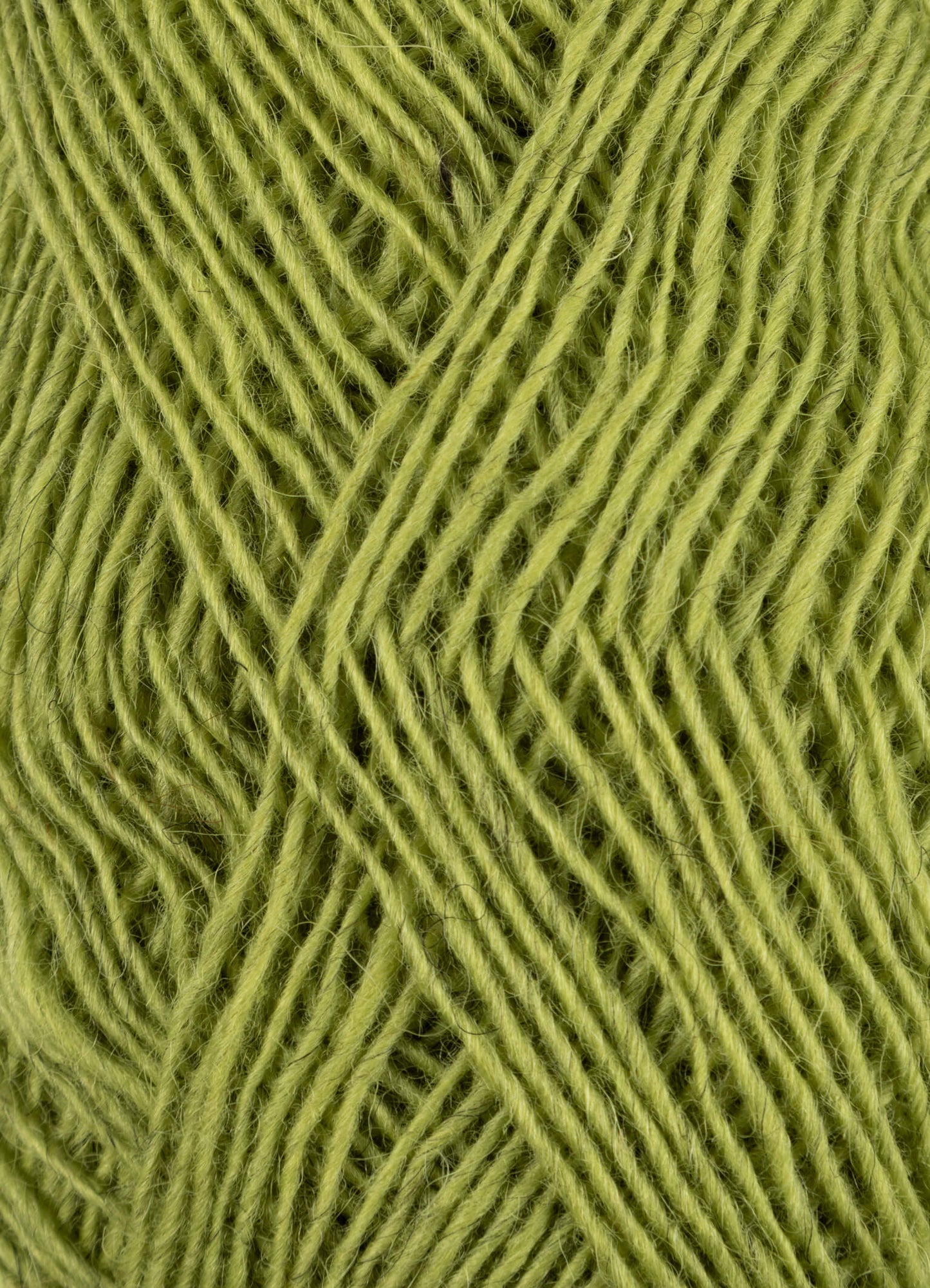 軽やかさで選ばれる新定番｜Fjallalopi：フィヤットラロピ｜Lopi：ロピ