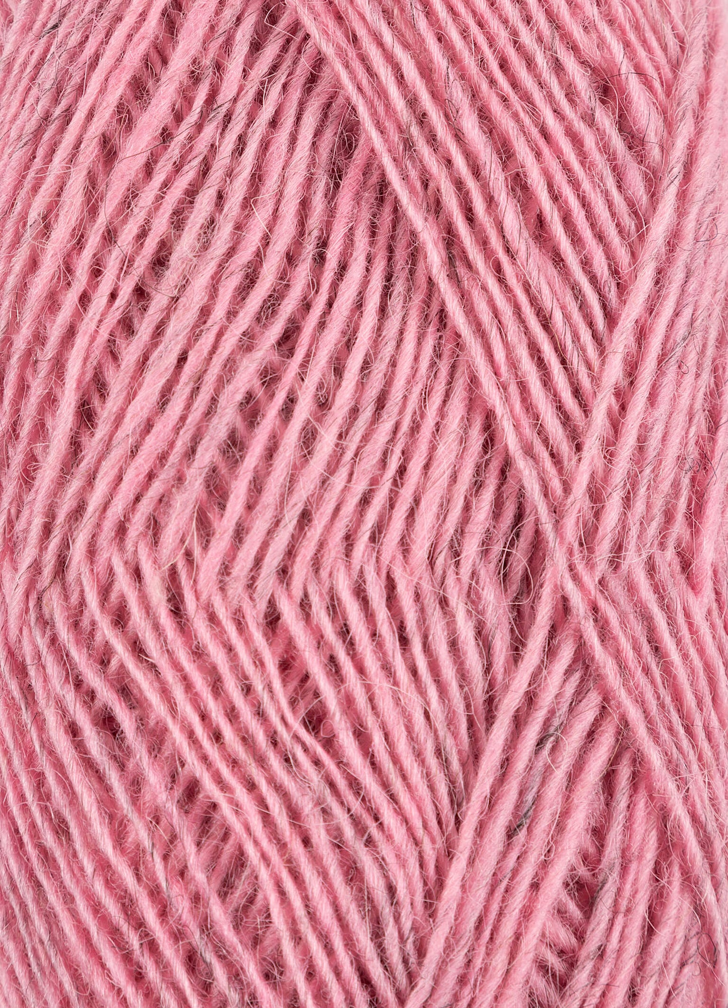 軽やかさで選ばれる新定番｜Fjallalopi：フィヤットラロピ｜Lopi：ロピ