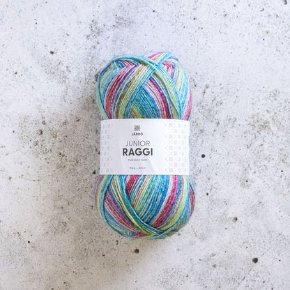 ソックヤーン2玉セレクション「北欧の彩り - 赤い木いちご」